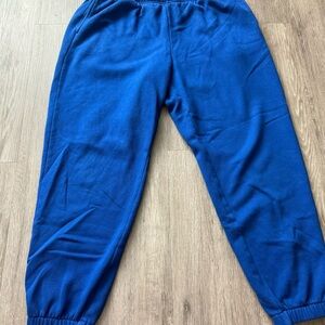Royal Blue Joggers Sweatpants Comfortable Warm Colorful
